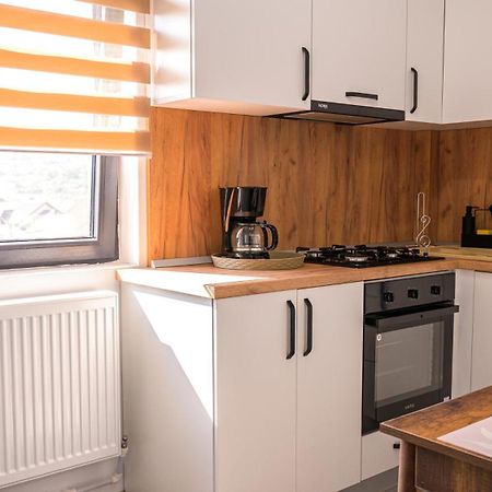Apartamento Nina House Târgu Jiu Habitación foto
